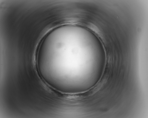 X0000088911466200706081333
