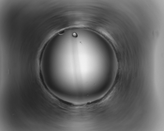 X0000088911467200706081333