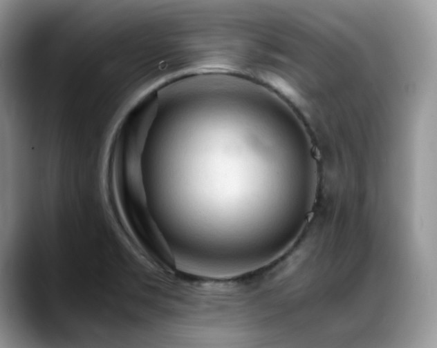 X0000088911469200706081333