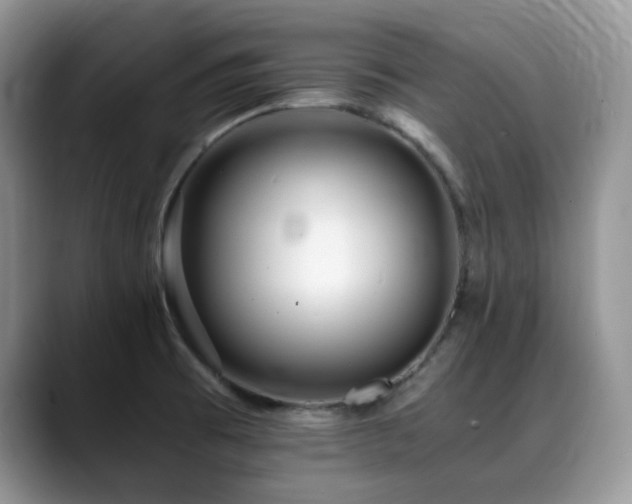X0000088911473200706081332