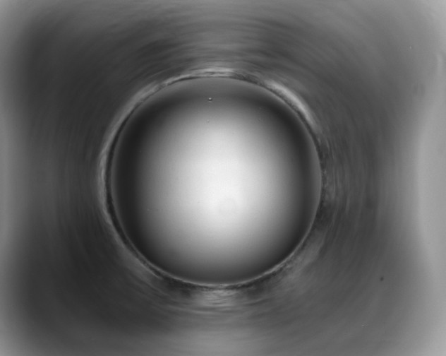 X0000088911475200706081332