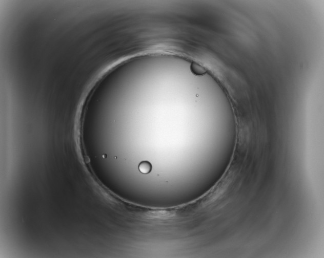 X0000088911478200706081332