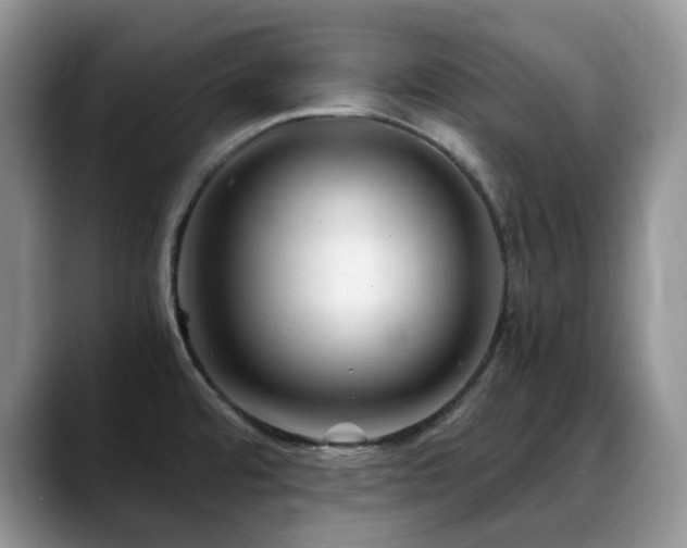 X0000088911480200706081332