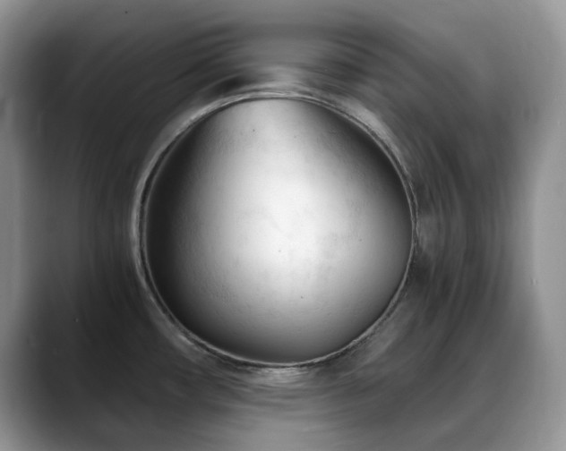 X0000088911482200706081332
