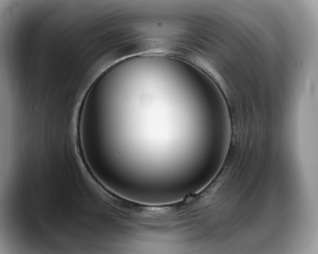 X0000088911483200706081332