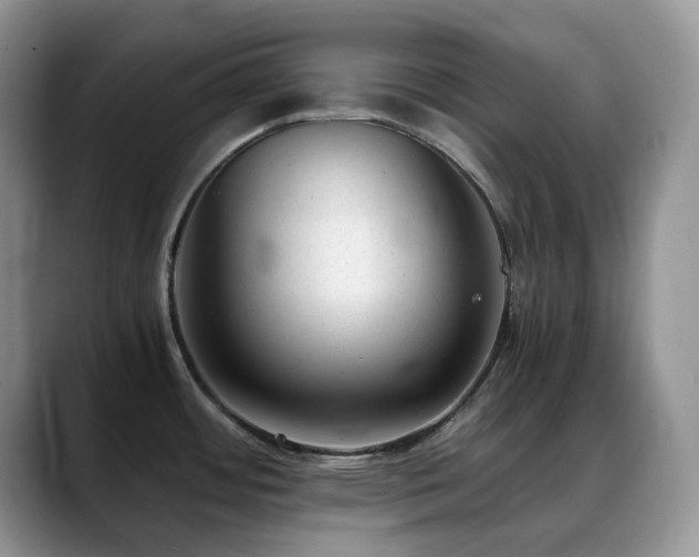 X0000088911484200706081332