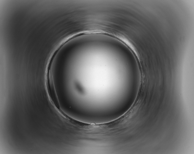 X0000088911485200706081332