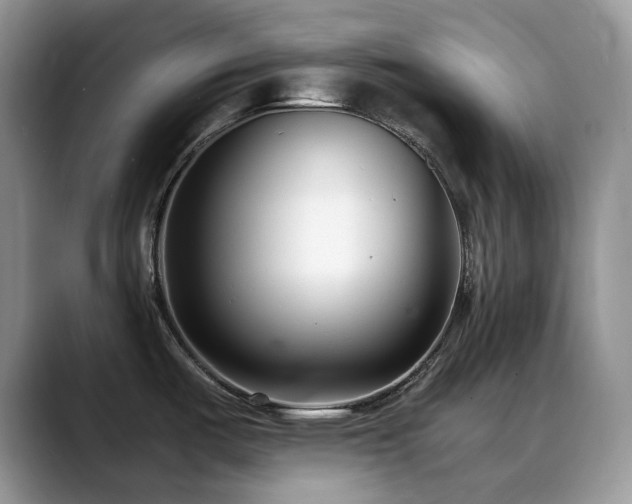 X0000088911487200706081332