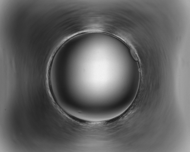 X0000088911488200706081332