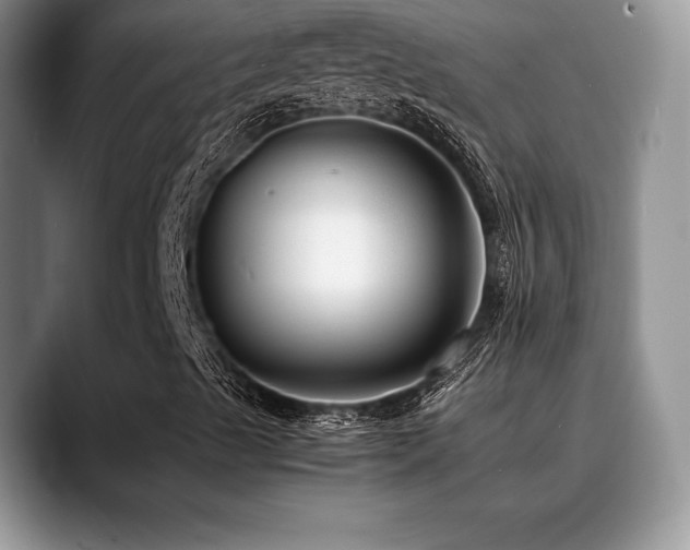 X0000088911489200706081332