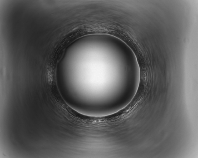 X0000088911490200706081332