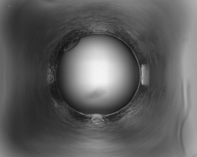 X0000088911491200706081332