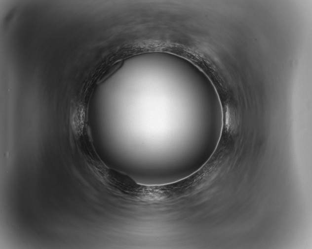 X0000088911492200706081332