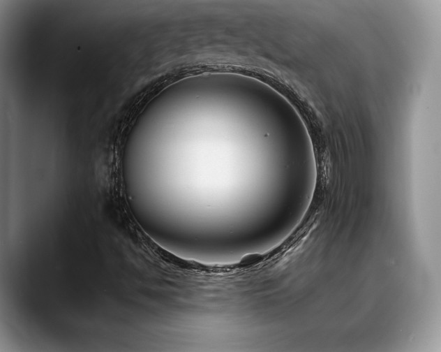 X0000088911494200706081332
