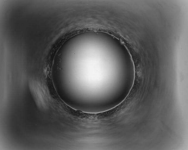 X0000088911495200706081332