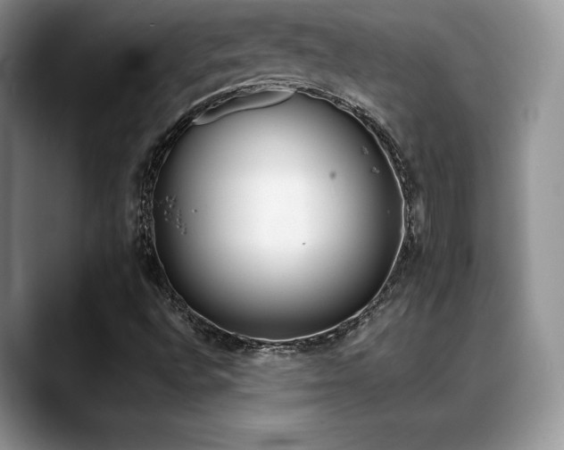 X0000088911496200706081332