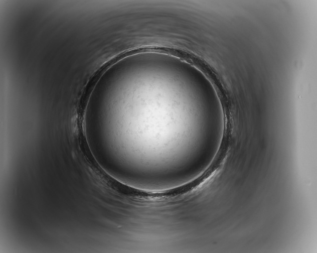 X0000088911497200706081332