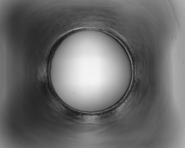 X0000088911498200706081332