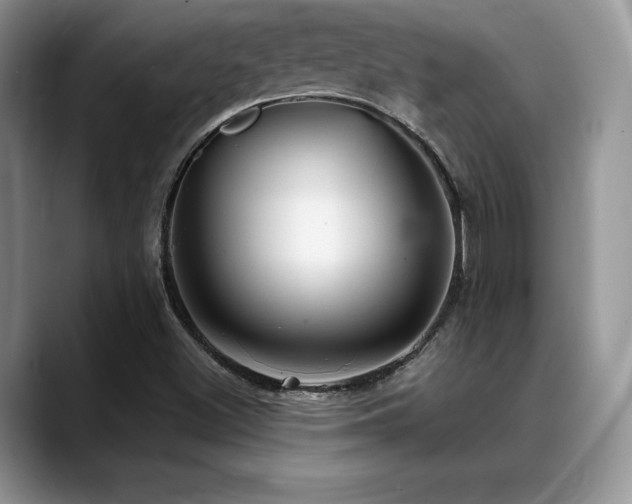 X0000088911500200706081332