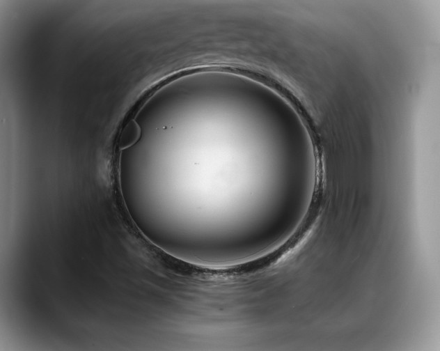 X0000088911501200706081332