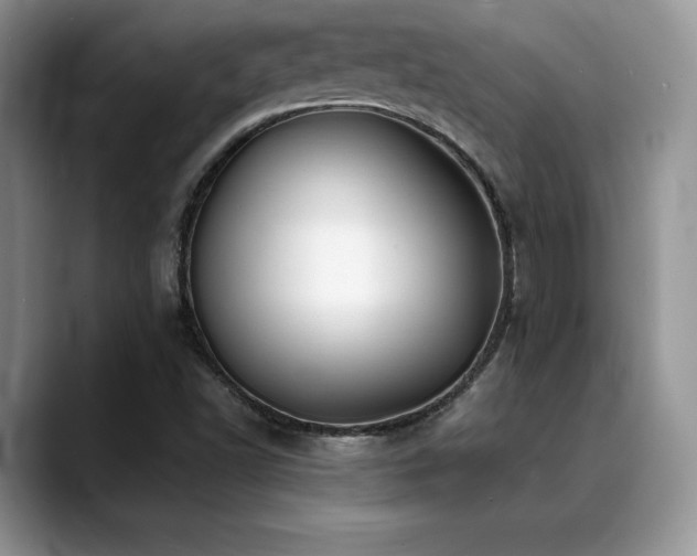 X0000088911502200706081332