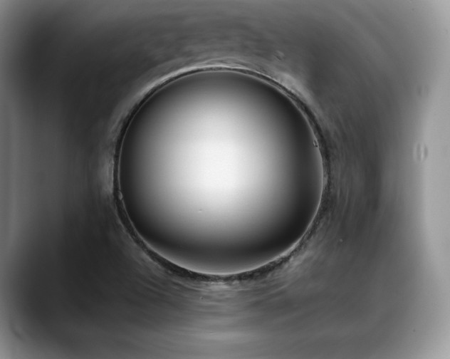X0000088911504200706081332