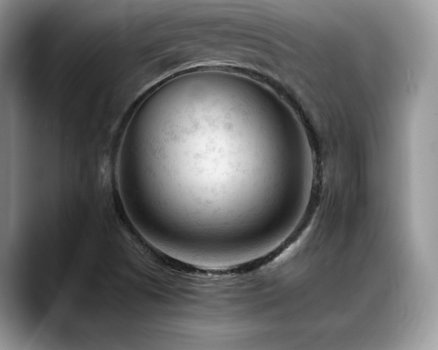 X0000088911505200706081332