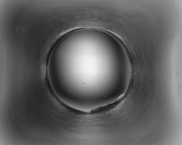 X0000088911507200706081332
