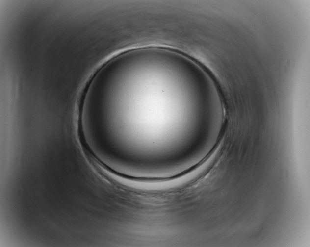 X0000088911508200706081332