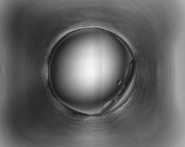 X0000088911510200706081332
