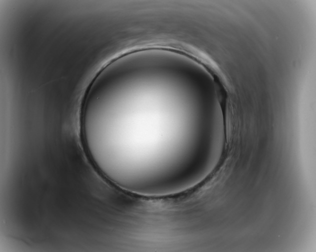 X0000088911512200706081332