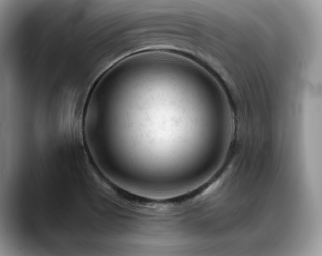 X0000088911513200706081332