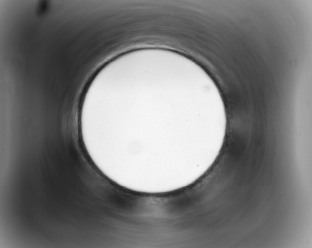 X0000088911514200706081332