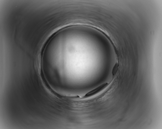 X0000088911515200706081332