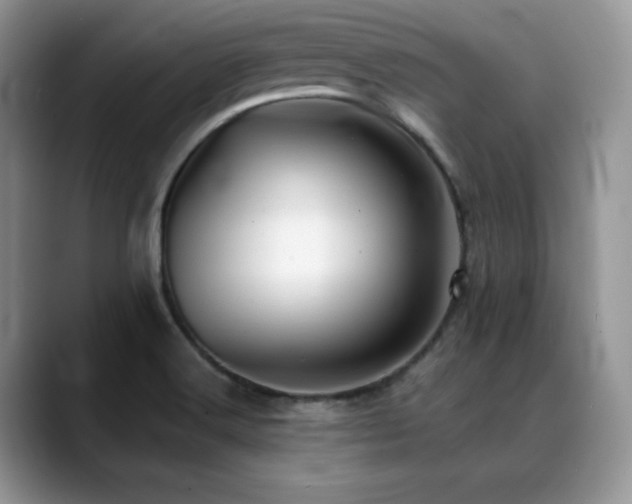 X0000088911516200706081332