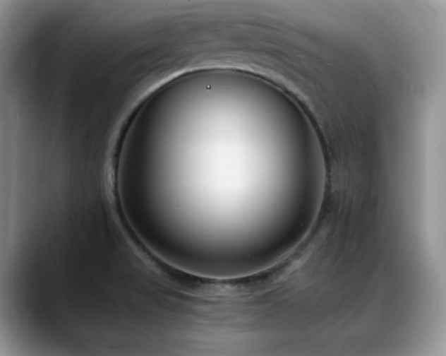 X0000088911517200706081332