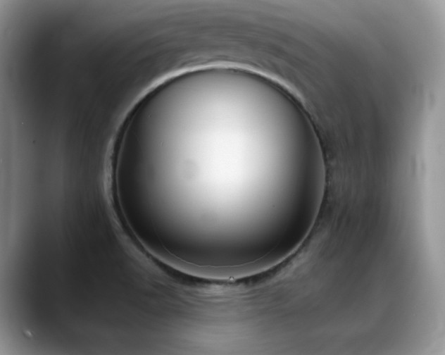 X0000088911518200706081332