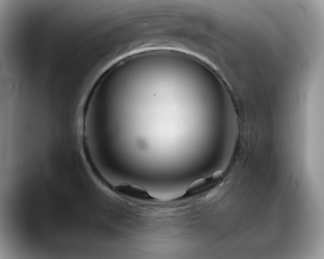X0000088911519200706081332