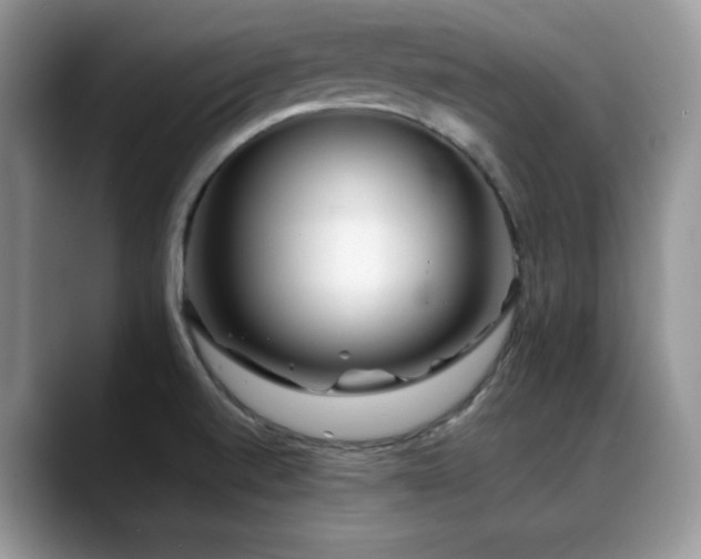 X0000088911520200706081332