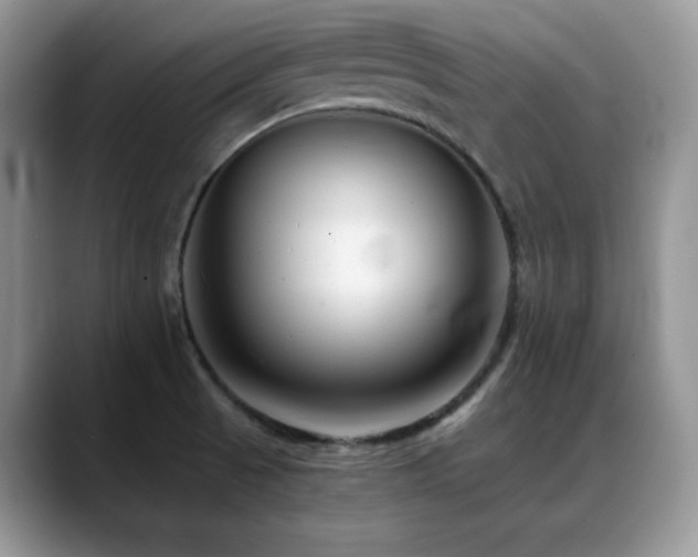 X0000088911521200706081332