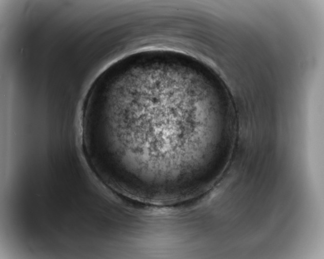 X0000088911522200706081332