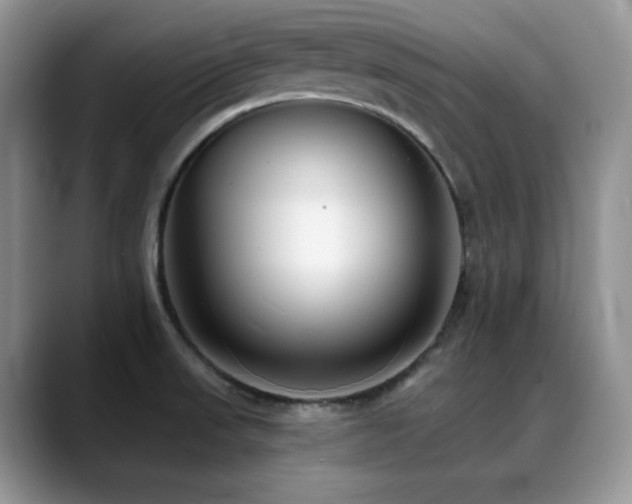 X0000088911523200706081332