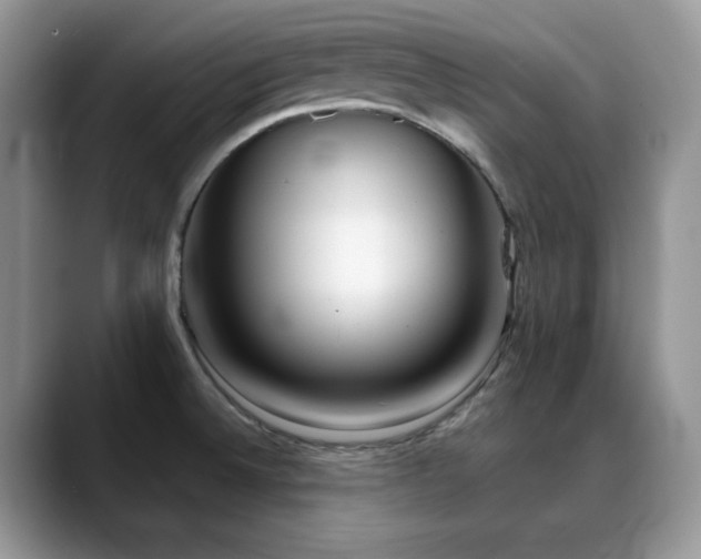 X0000088911524200706081332