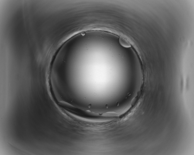 X0000088911525200706081332