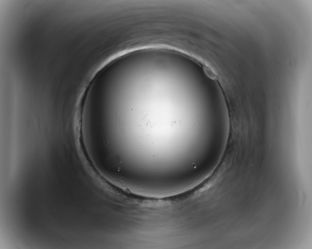 X0000088911526200706081332