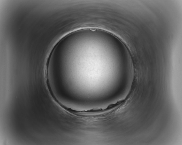 X0000088911527200706081332