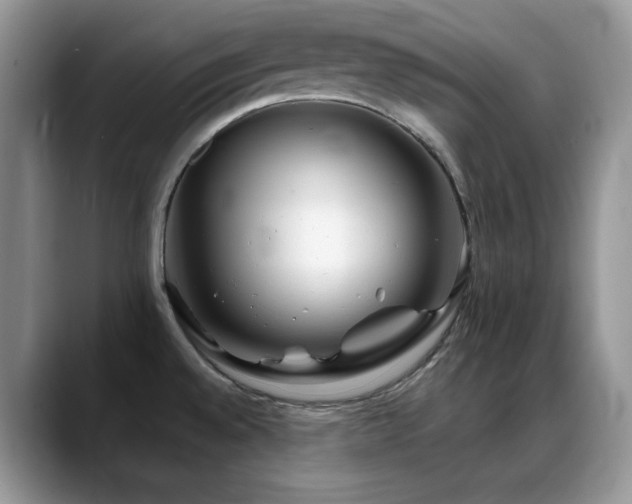 X0000088911528200706081332