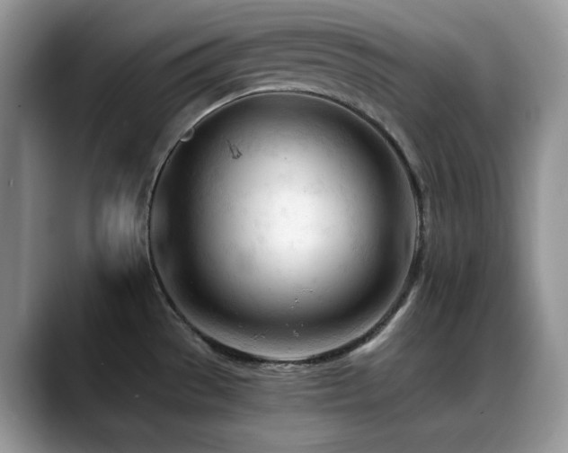 X0000088911529200706081332