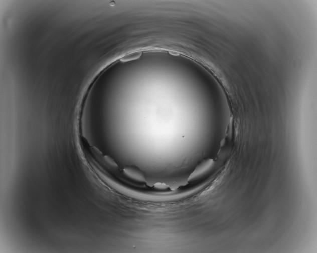 X0000088911530200706081332