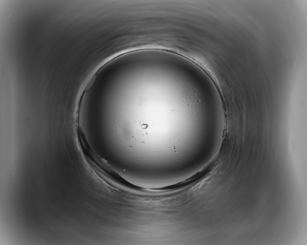X0000088911532200706081332